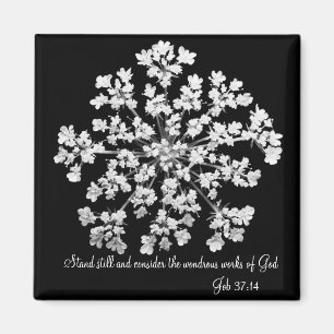 Aimant 37:14 du travail