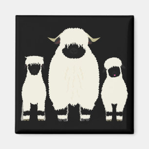 Aimant 3 moutons du Valais de suite