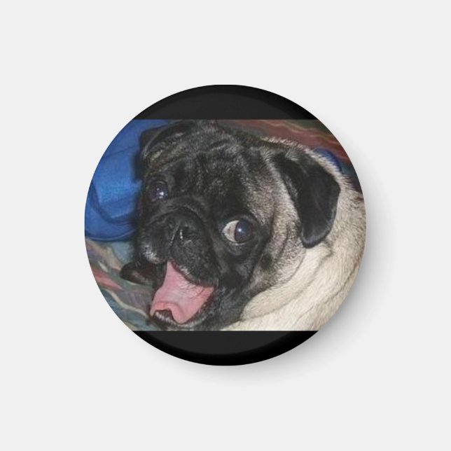 Aimant 483814433_l (Devant)