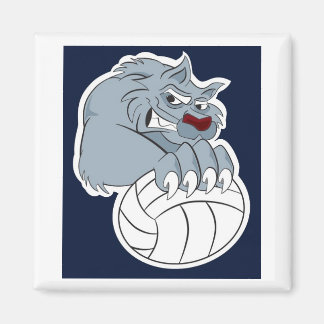 Aimant 49ers | Calamita