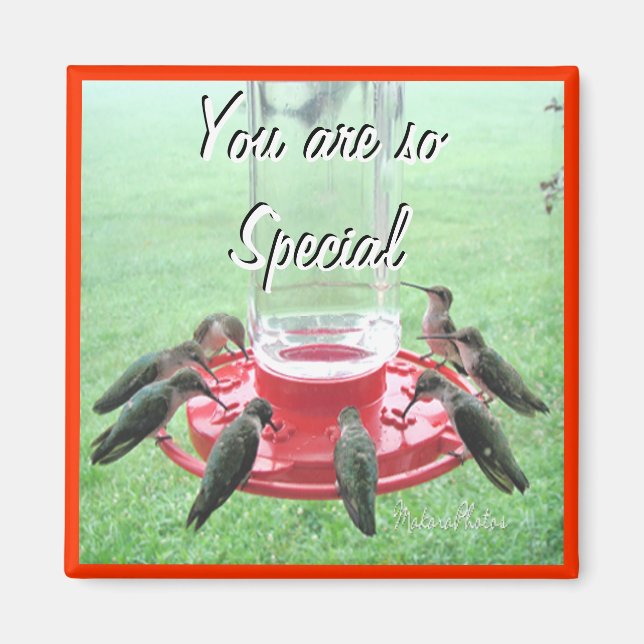 Aimant 7 Colibris - personnaliser (Devant)