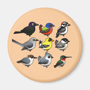 Aimant 9 Oiseaux de Jardin du sud-est des États-Unis