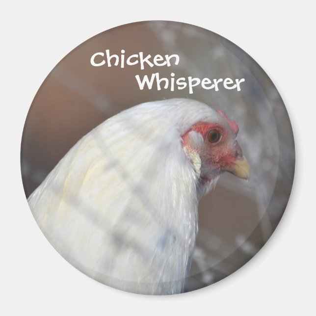 Aimant à balai de poulet (Devant)