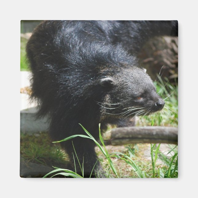 Aimant à base asiatique (Devant)