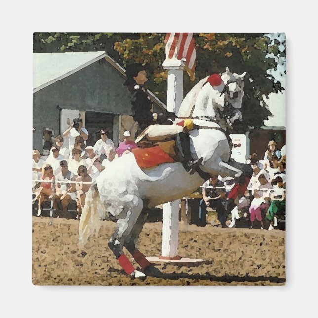 Aimant à cheval Lippizan (Devant)