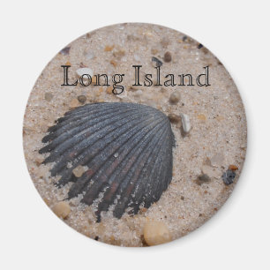 Aimant à coquille de pétoncle de Long Island