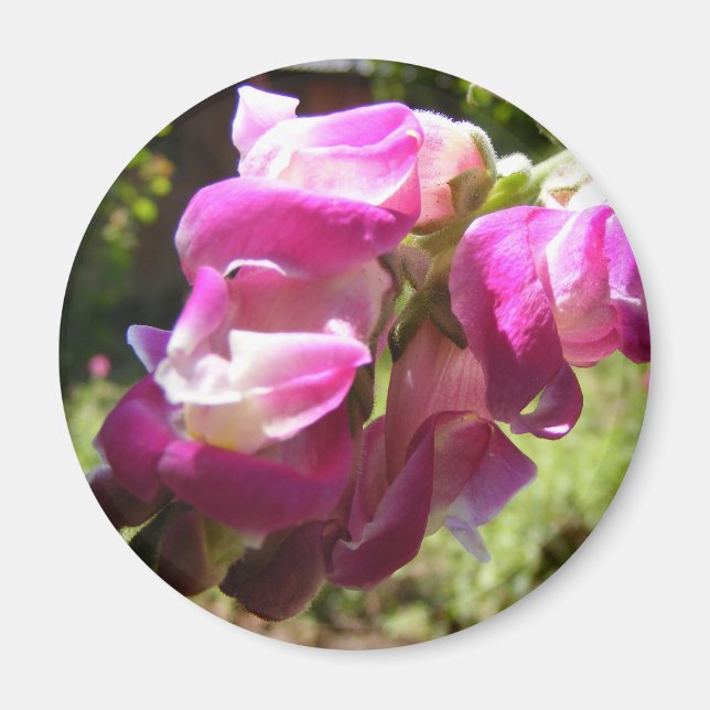 Aimant à fleur (Devant)