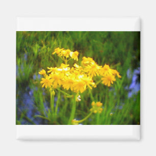 Aimant à fleur de tournesol