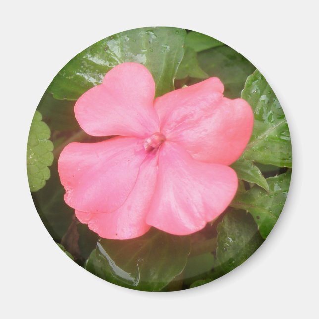 Aimant à fleur rose (Devant)