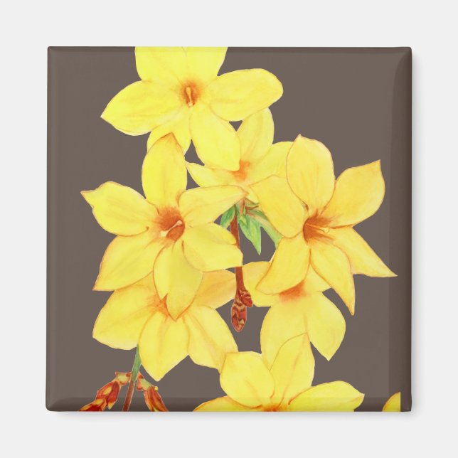 Aimant à fleurs de jasmin jaune | Aquarelle (Devant)