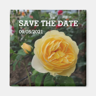 Aimant à fleurs de rose jaune