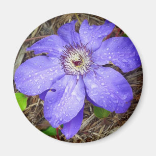 Aimant à fleurs violettes
