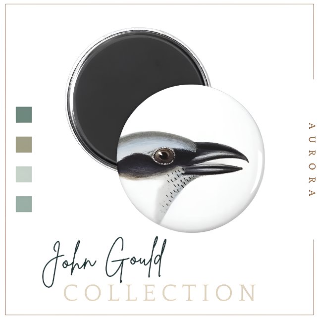 Aimant à grike de cacao à visage noir (Créateur téléchargé)