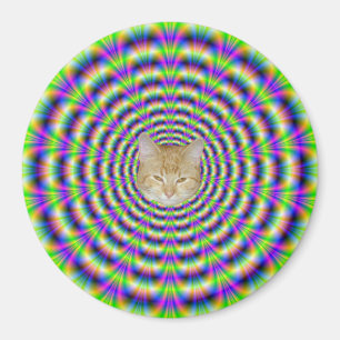 Aimant à impulsions de néon + chat