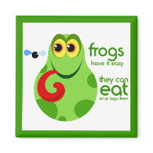 Aimant à la grenouille