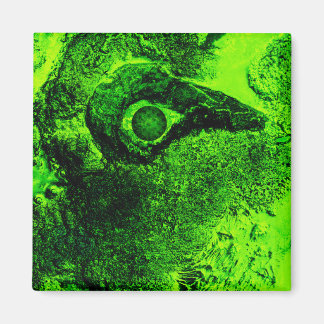 Aimant à la recherche de vert