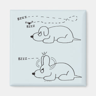 Aimant À l'âge d'un chien