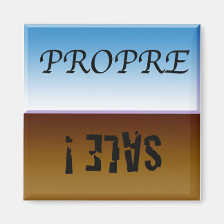 Aimant à lave-vaisselle