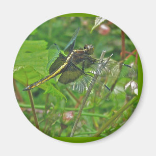 Aimant à libellule jaune