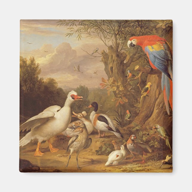 Aimant A Macaw, Ducks, Parrots and Other Birds dans un pa (Devant)