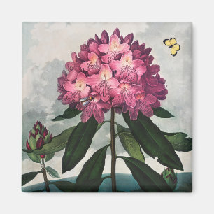 Aimant à motifs floraux