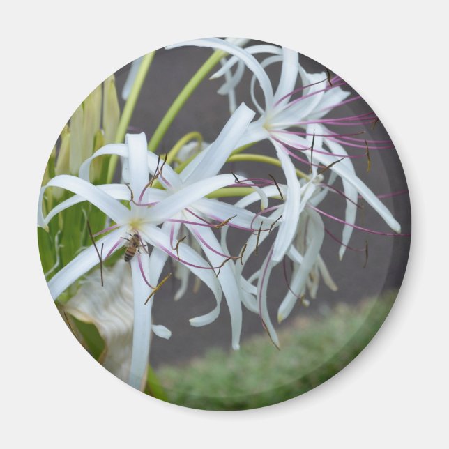 Aimant à parfum floral (Devant)