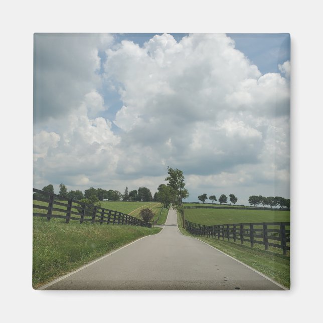 Aimant à pâturage bleu du Kentucky (Devant)
