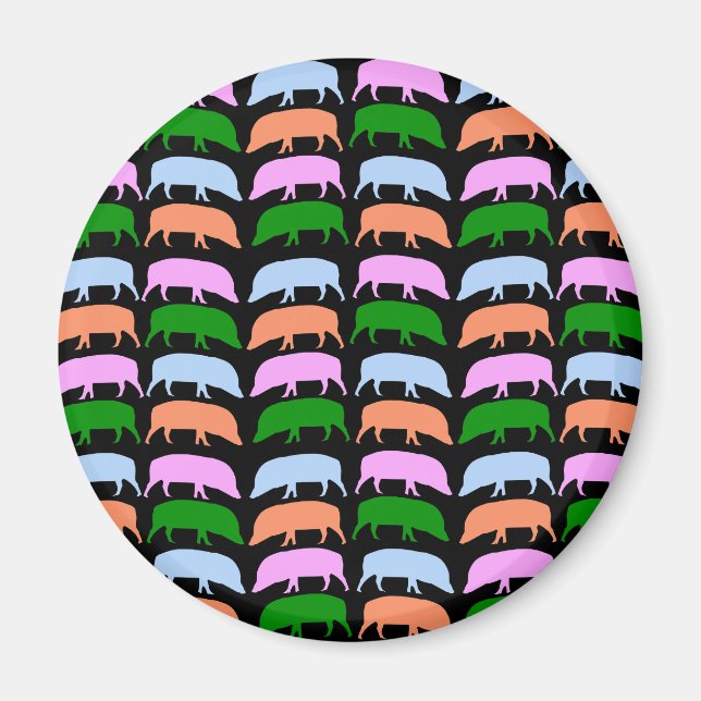 Aimant à pores multicolores (Devant)