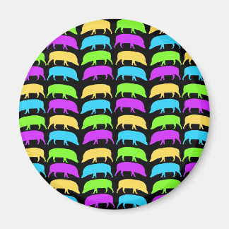 Aimant à pores multicolores