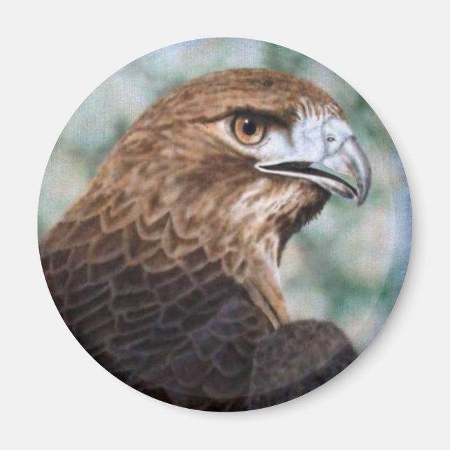 Aimant à queue rouge (Devant)