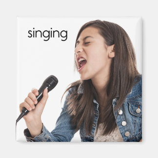 Aimant à réfrigérateur