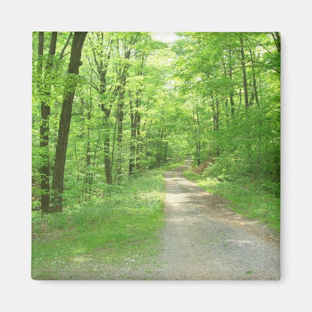 Aimant à sept ressorts (Devant)