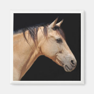 Aimant à tête de cheval