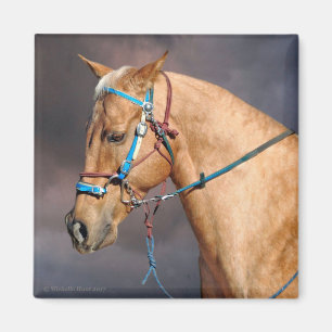 Aimant à tête de cheval