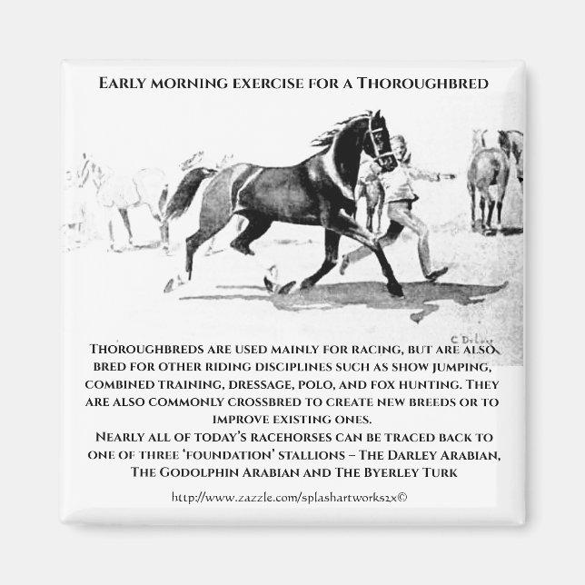 Aimant "A Thoroughbred in Training" (Devant)