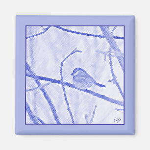 Aimant à vie de poulet