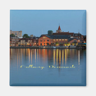 Aimant Aalborg, Danemark photo pittoresque,