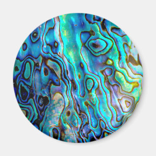 Aimant Abalone shell 