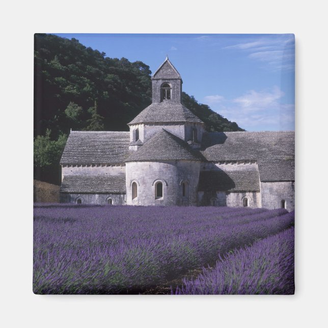 Aimant Abbaye de Senanque, Gordes, Vaucluse, Provence, 2 (Devant)