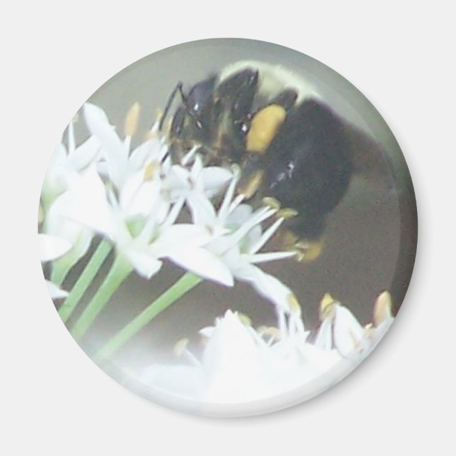 Aimant Abee (Devant)