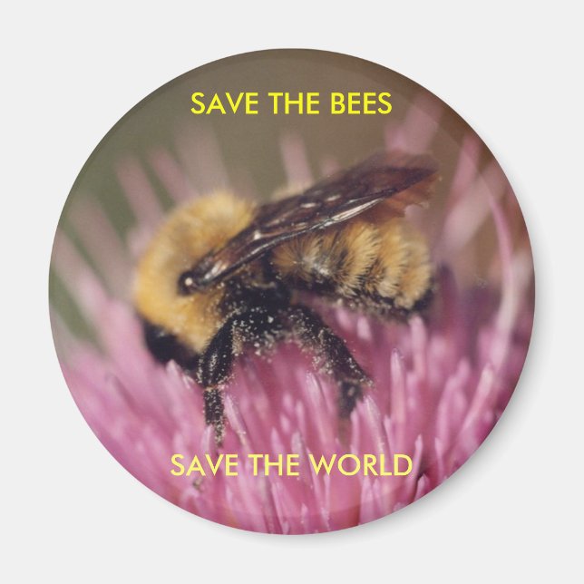 Aimant Abeille (Devant)