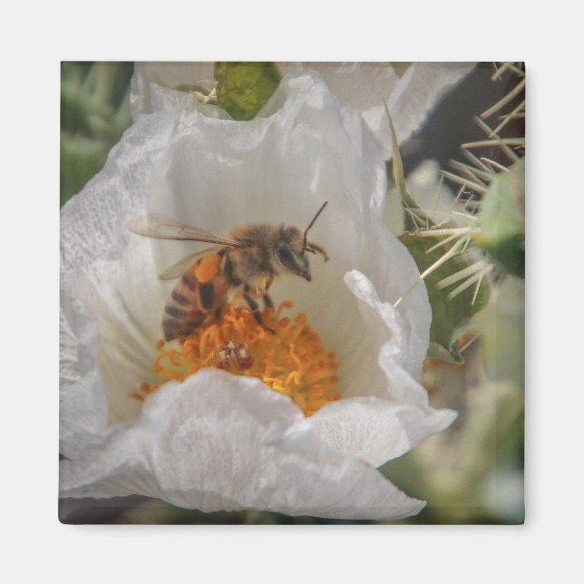 Aimant abeille (Devant)