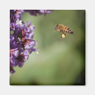 Aimant Abeille dans l'aimant en vol