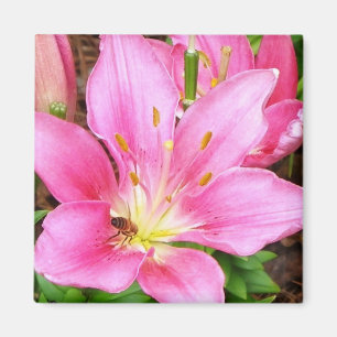 Aimant Abeille dans un Lilly