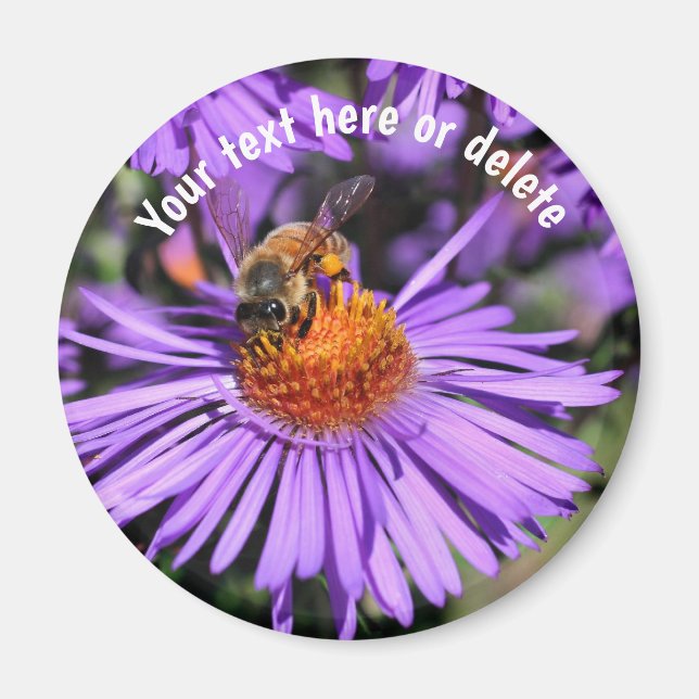 Aimant Abeille sur fleur d'aster violet personnalisé (Devant)