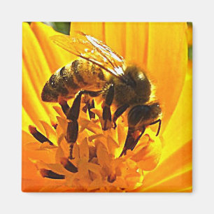 Aimant Abeille sur une fleur