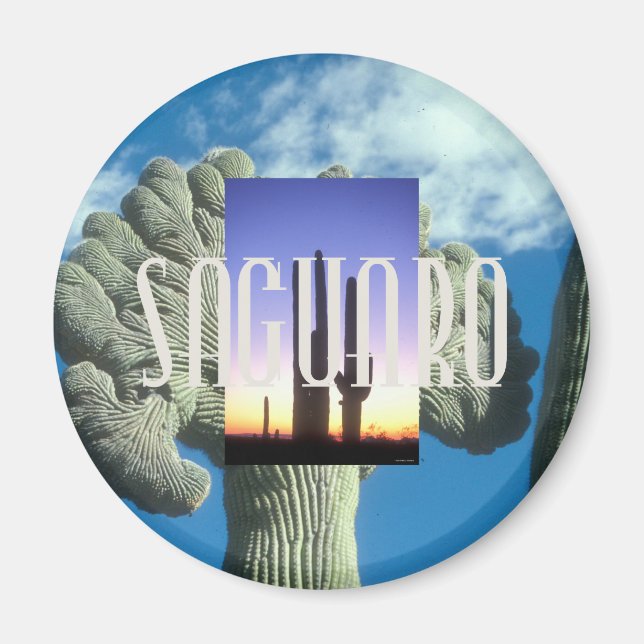 Aimant ABH Saguaro (Devant)