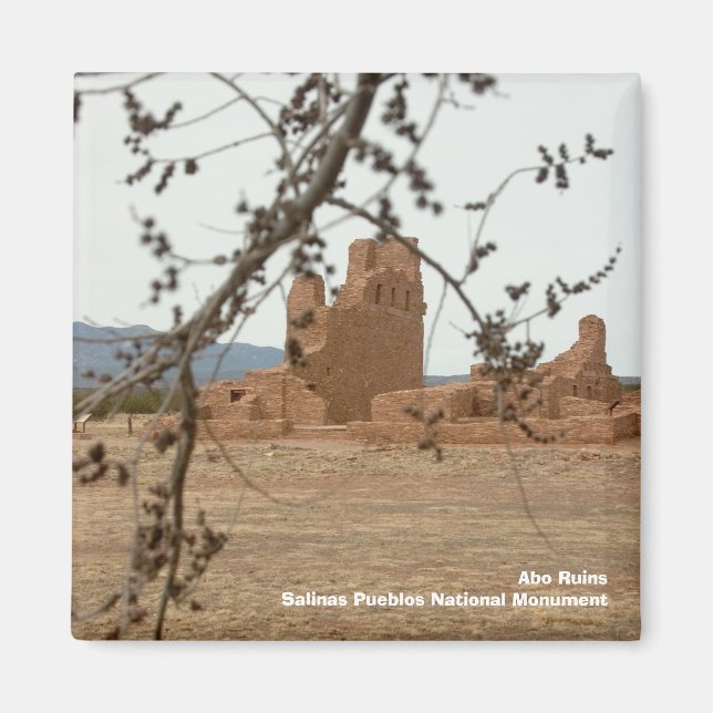 Aimant Abo RuinsSalinas Pueblos National lun... (Devant)
