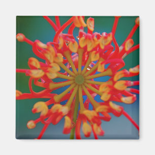 Aimant abstrait de fleur