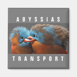 AIMANT ABYSSIAS_TRANSPORT